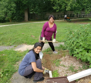 Picture of servers working in the garden.