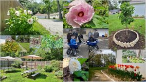 Dhamma Pubbananda Garden Team